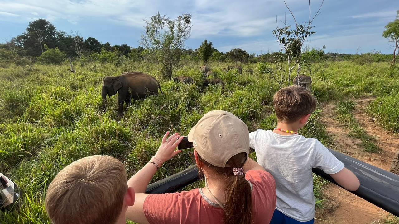 Op safari met het gezin in Sri Lanka